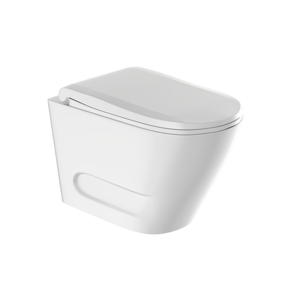 Picture of Rimless Blind Installation Wall Hung WC - White Matt