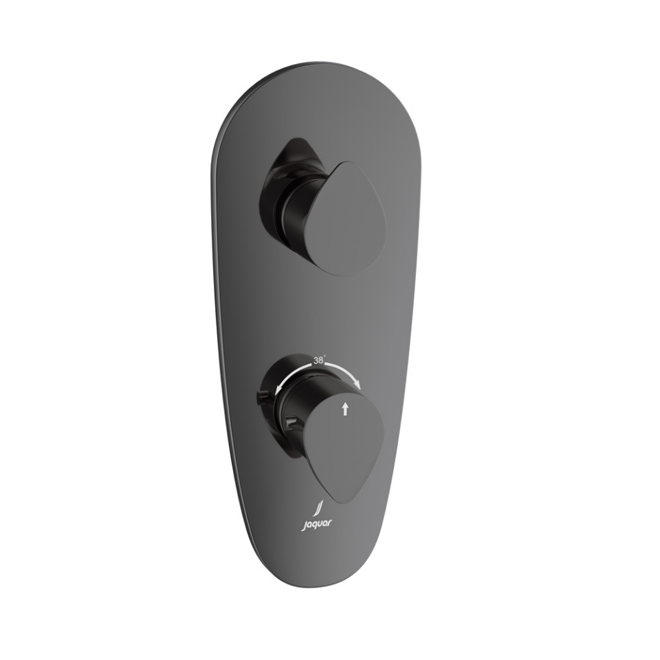 Picture of Aquamax Thermostatic Shower Mixer - Black Chrome